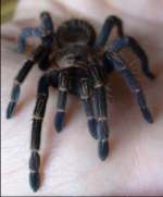 Užívateľov profilový obrázok