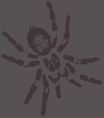 Užívateľov profilový obrázok