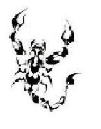 Užívateľov profilový obrázok