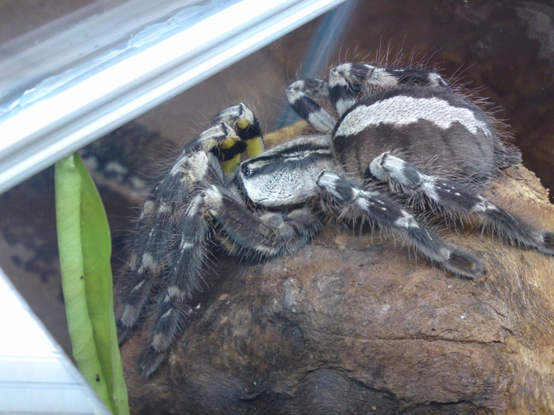 DSC02053 (800x600).jpg